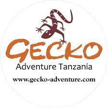 лого - Gecko-Adventure