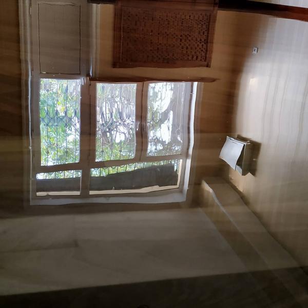 наша деятельность