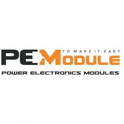 Logo - PEModule