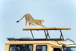 Logo - Dakado Global Services