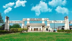 Logo - Shields Associates