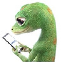 Logo - Geico Auto Insurance