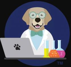 Logo - LAB Digital Creative