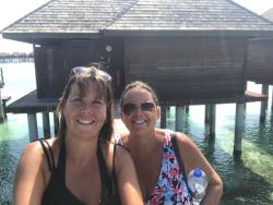 Logo - Your Lifestyle Business