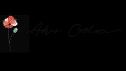Logo - Cochieci adrian