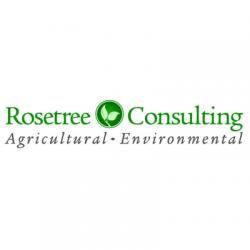Logo - Rosetree Consulting LLC