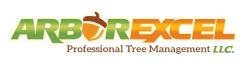 Logo - Arbor Excel LLC