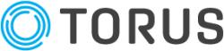 Logo - Torus Technology