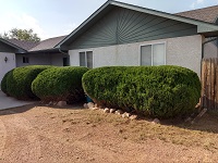 Logo - Complete Yard Service