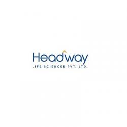 Logo - Headway Life Sciences Pvt. Ltd.