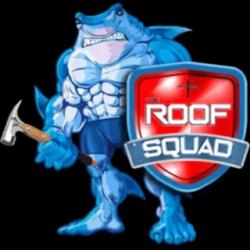 Logo - The Roof Squad