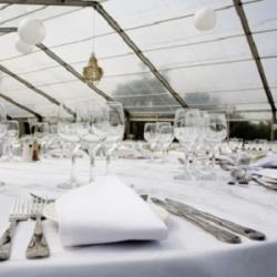 Logo - Most Unique Parties and Ponies