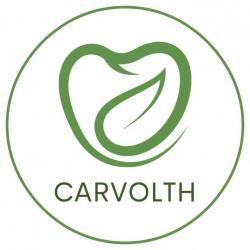 Logo - Carvolth Dentistry