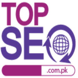 Logo - Top SEO