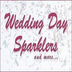 Logo - Wedding Day Sparklers
