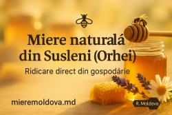 Logo - Stupina Susleni