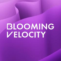 Logo - Blooming Velocity
