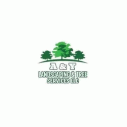 Logo - A Y Landscaping and Tree Services LLC