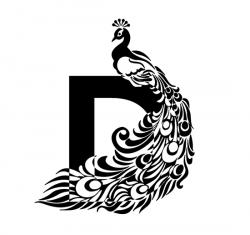 Logo - Decorum Pakistan