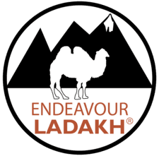 Logo - Endeavour Ladakh