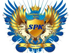 Logo - SEMIPRECIOUSKING