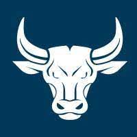 Logo - BullTheme