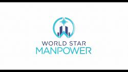 Logo - World Star Manpower